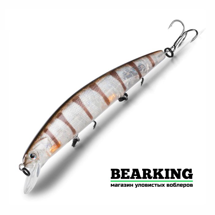BearKing Varuna 110SP Цвет B