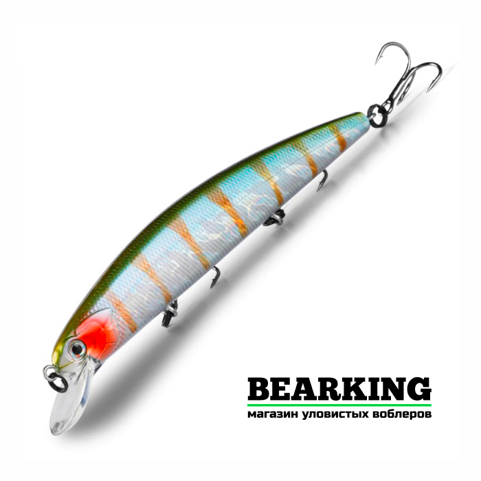 BearKing Varuna 110SP Цвет E