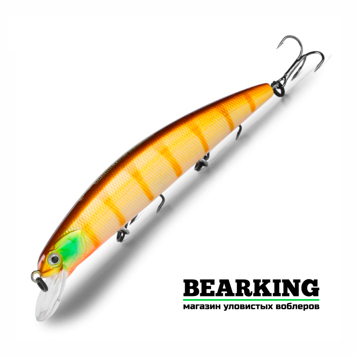 BearKing Varuna 110SP Цвет H