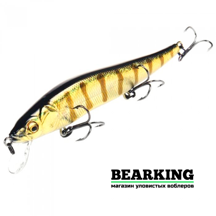 BearKing Vision 110SP Цвет B