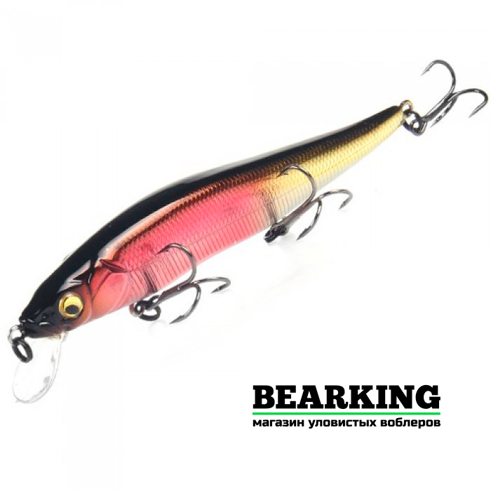 BearKing Vision 110SP Цвет D