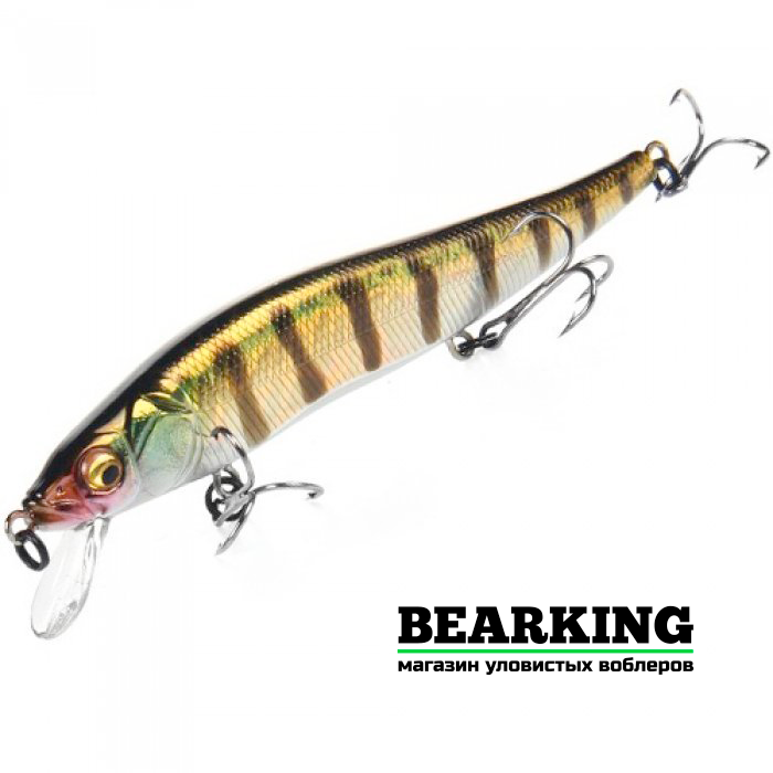 BearKing Vision 110SP Цвет E