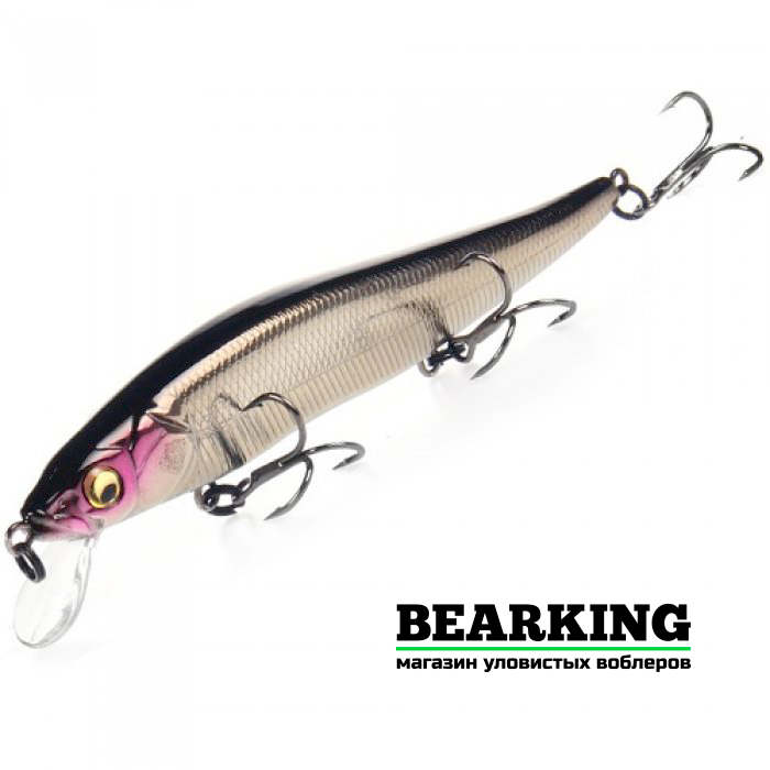 BearKing Vision 110SP Цвет F