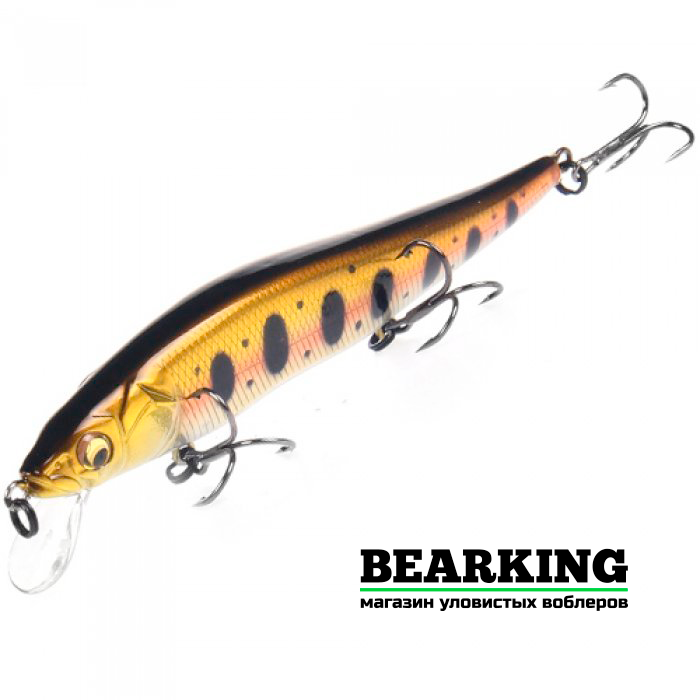 BearKing Vision 110SP Цвет G