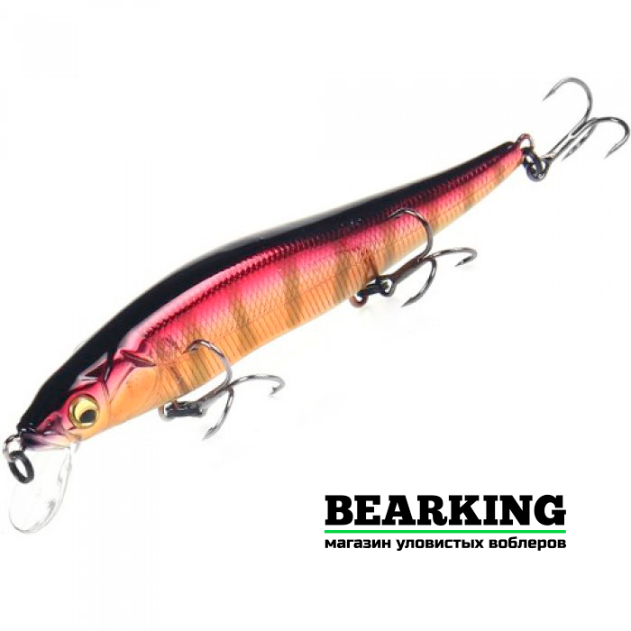 BearKing Vision 110SP Цвет H