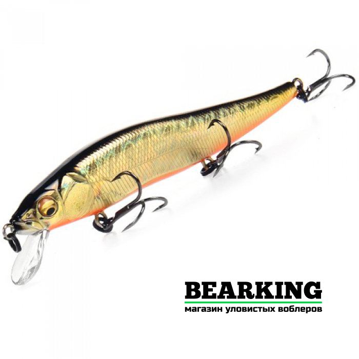 BearKing Vision 110SP Цвет K