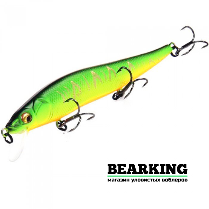 BearKing Vision 110SP Цвет M