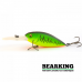Bearking Deep-X 300 75F Цвет A