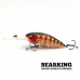 Bearking Deep-X 300 75F Цвет G