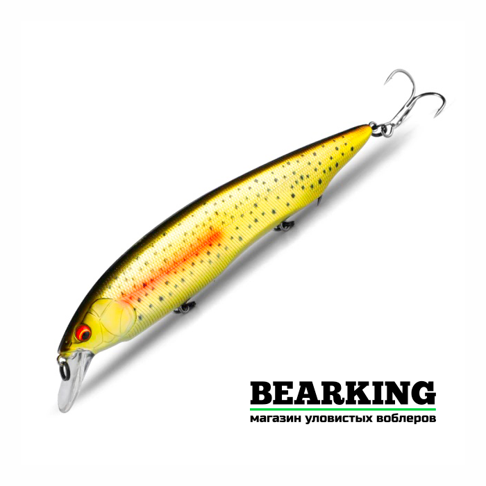 Bearking Kanata 160F Цвет B