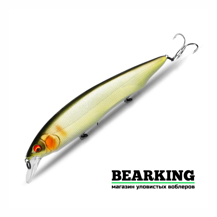 Bearking Kanata 160F Цвет I