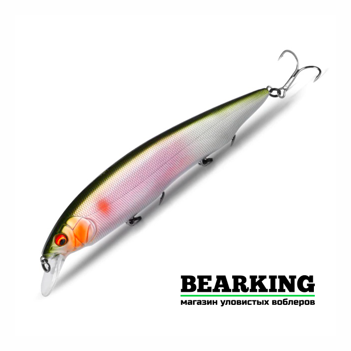 Bearking Kanata 160F Цвет L