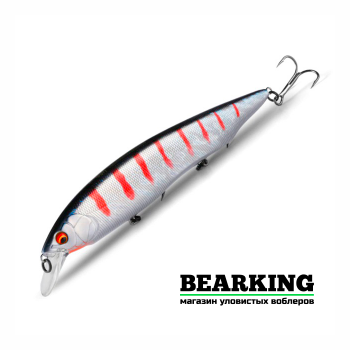 Bearking Kanata 160F Цвет R