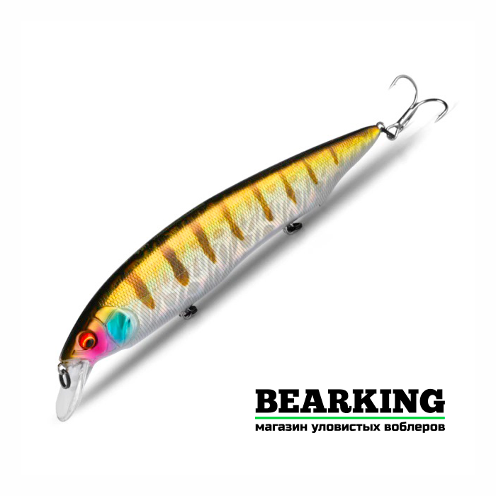 Bearking Kanata 160F Цвет S