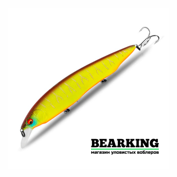 Bearking Kanata 160F Цвет T