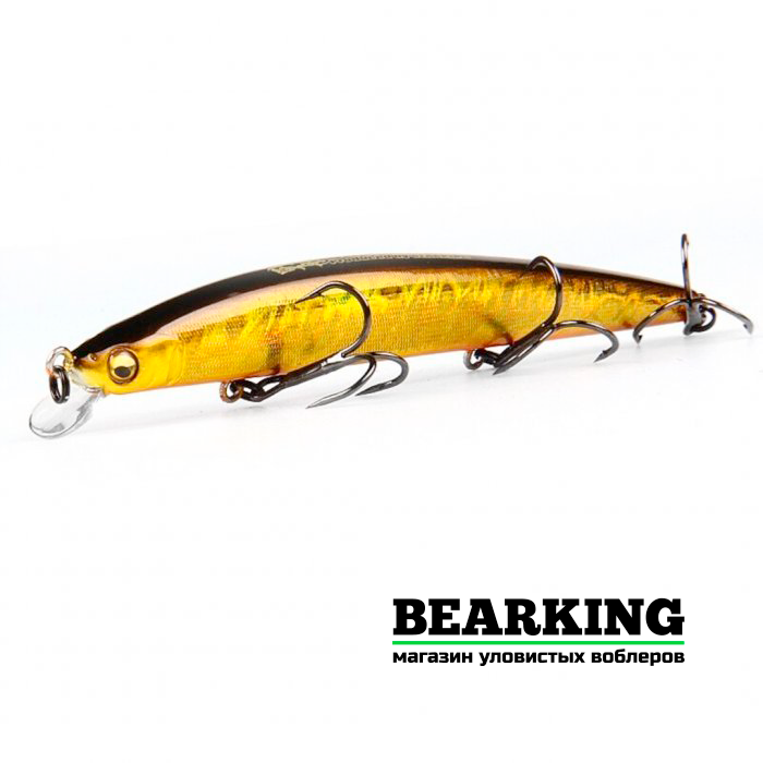 Bearking X-120SP Цвет I