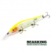 Bearking Vision Oneten Plus 1 110SP Цвет E