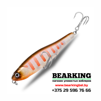 BearKing Black Powder 100F Цвет F