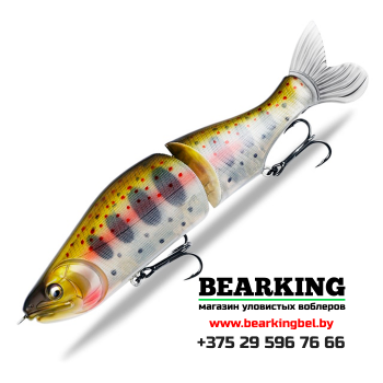 Bearking I-Slide 185F Цвет K
