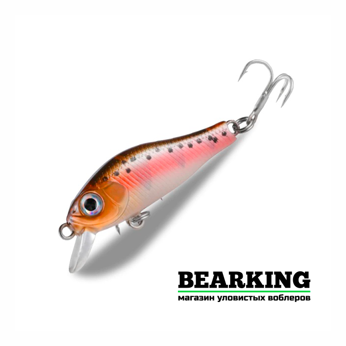 Bearking Rigge 35S Цвет A