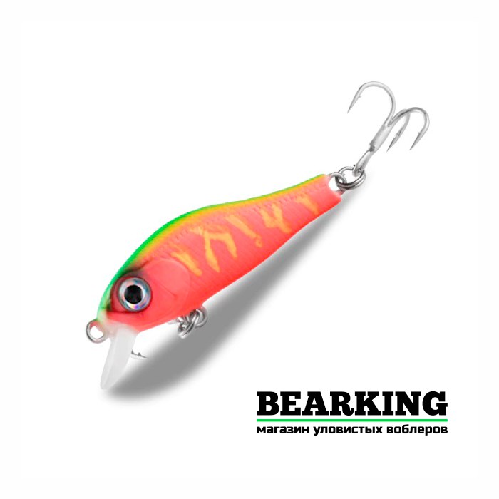 Bearking Rigge 35S Цвет C