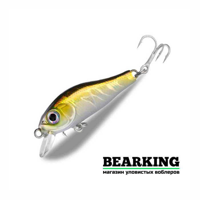 Bearking Rigge 35S Цвет F