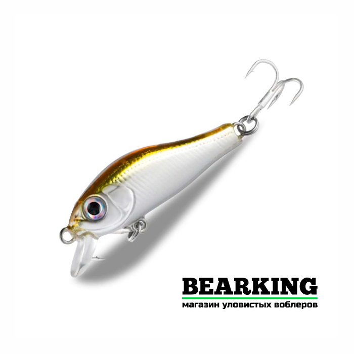 Bearking Rigge 35S Цвет H