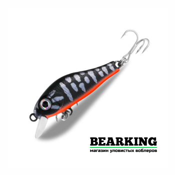 Bearking Rigge 35S Цвет J