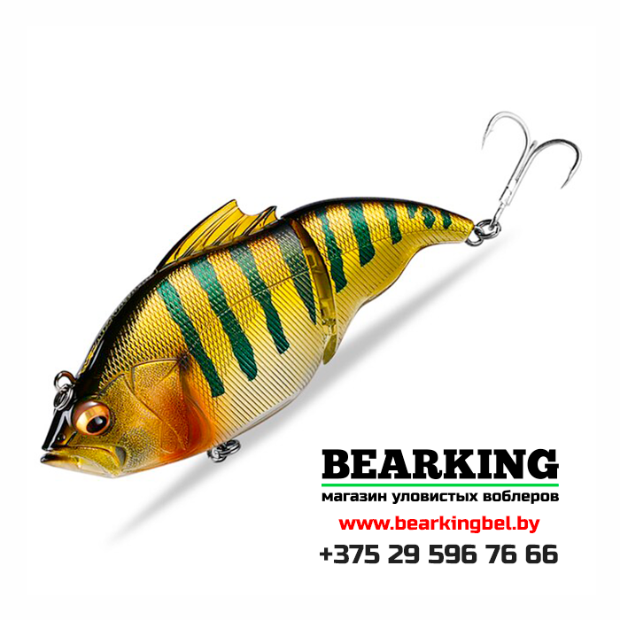 Bearking Vatalion F115 - Цвет F