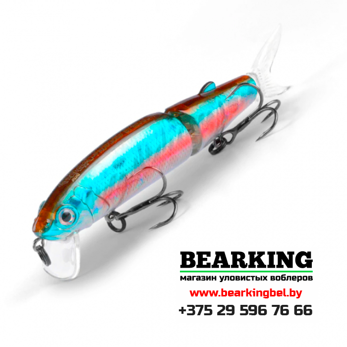 BearKing Magallon 113F Цвет 24