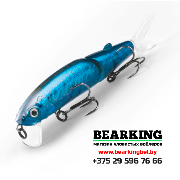 BearKing Magallon 113F Цвет C