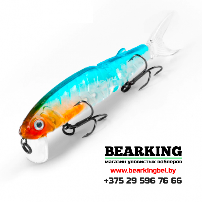 BearKing Magallon 113F Цвет E