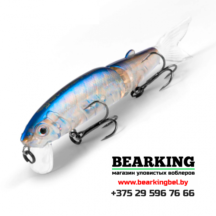 BearKing Magallon 113F Цвет F