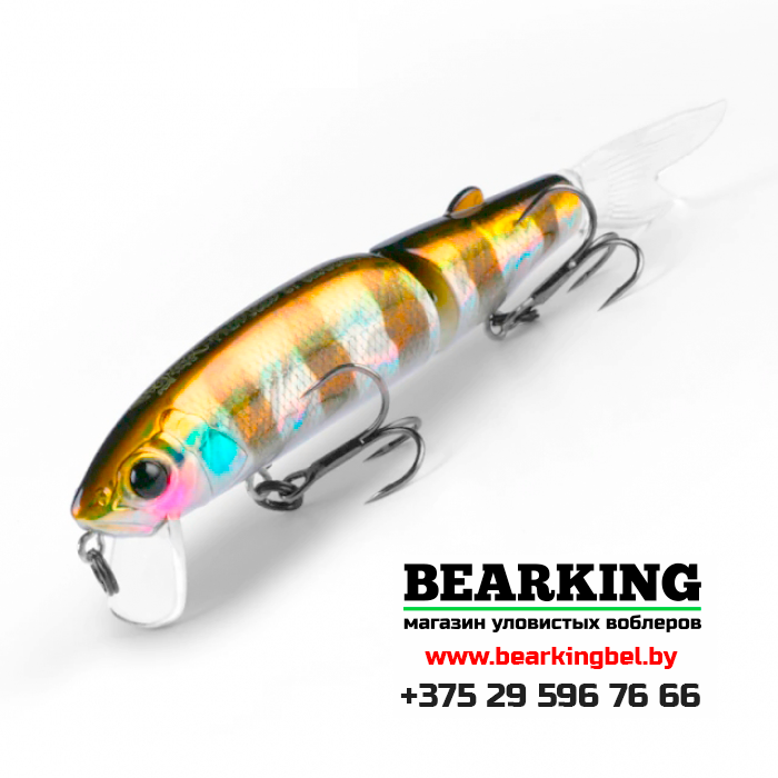 BearKing Magallon 113F Цвет H