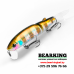 BearKing Magallon 113F Цвет H