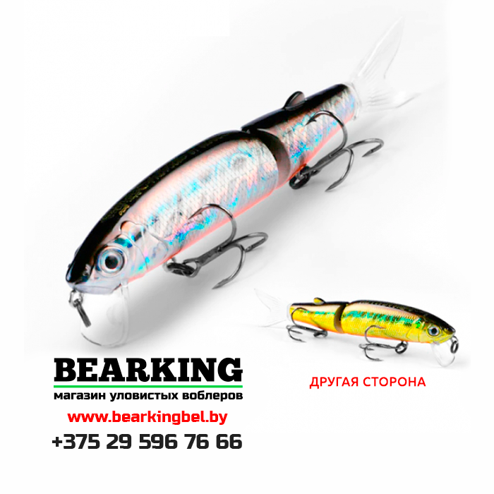 BearKing Magallon 113F Цвет M