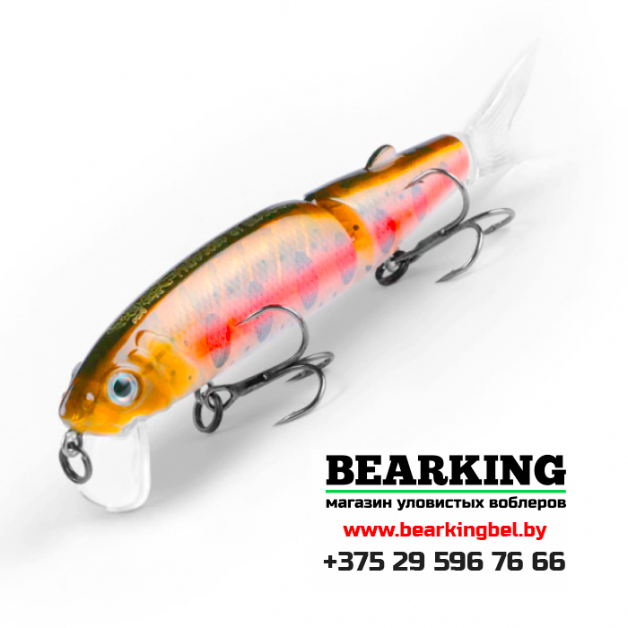 BearKing Magallon 113F Цвет P