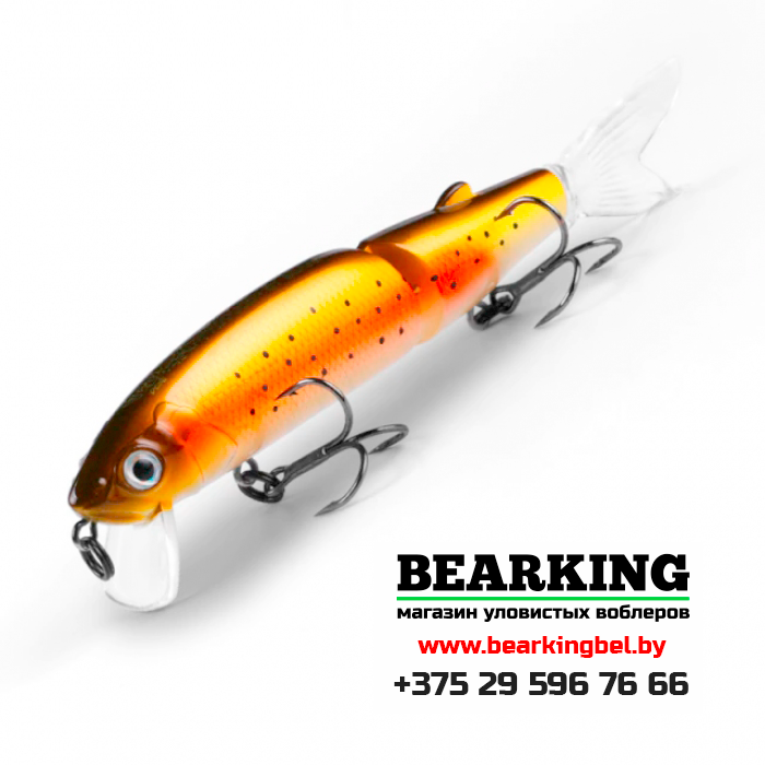 BearKing Magallon 113F Цвет S