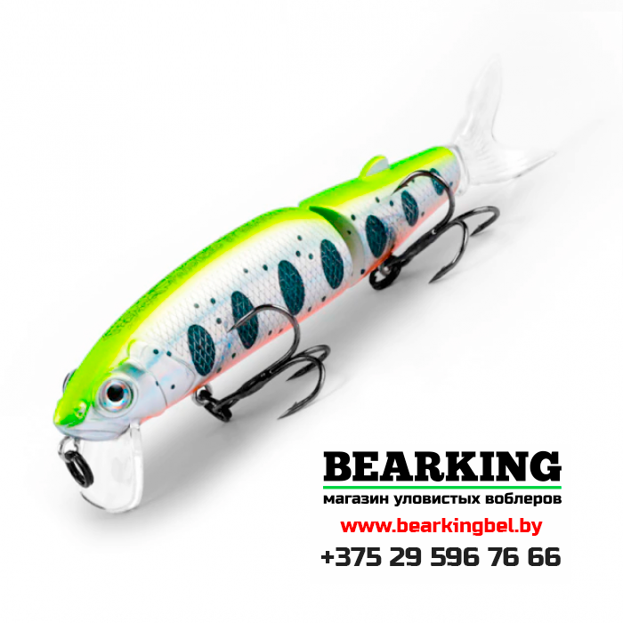 BearKing Magallon 113F Цвет T