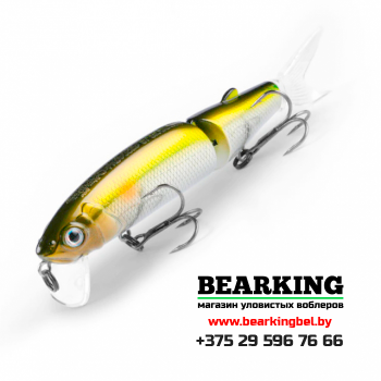 BearKing Magallon 113F Цвет V