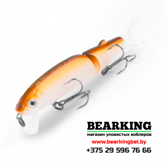 BearKing Magallon 113F Цвет Z