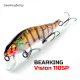 BearKing Vision 110SP BearKing Vision 110SP