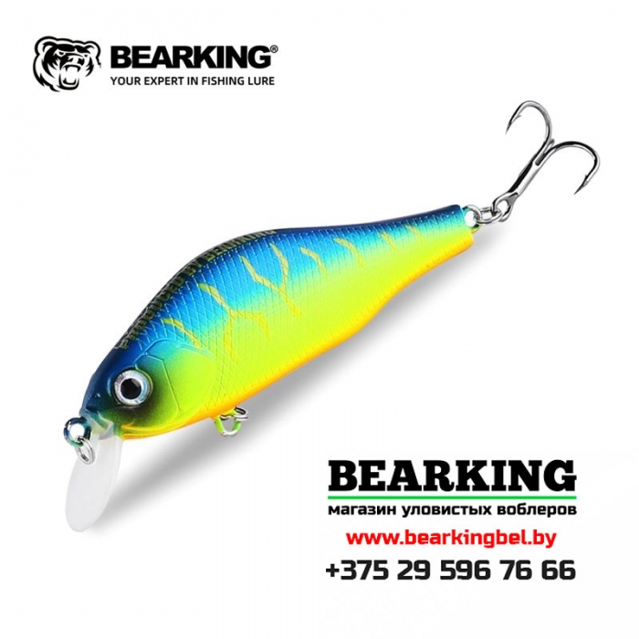 BearKing Khamsin 70 SP-SR - Цвет A