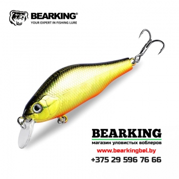 BearKing Khamsin 70 SP-SR Цвет B