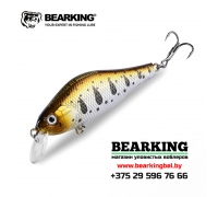BearKing Khamsin 70 SP-SR - Цвет C
