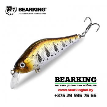 BearKing Khamsin 70 SP-SR Цвет C