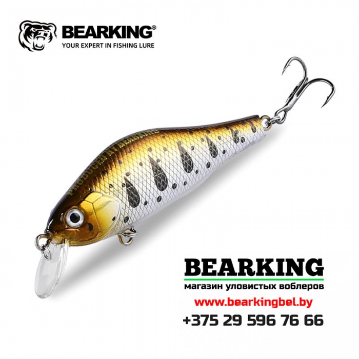 BearKing Khamsin 70 SP-SR - Цвет C