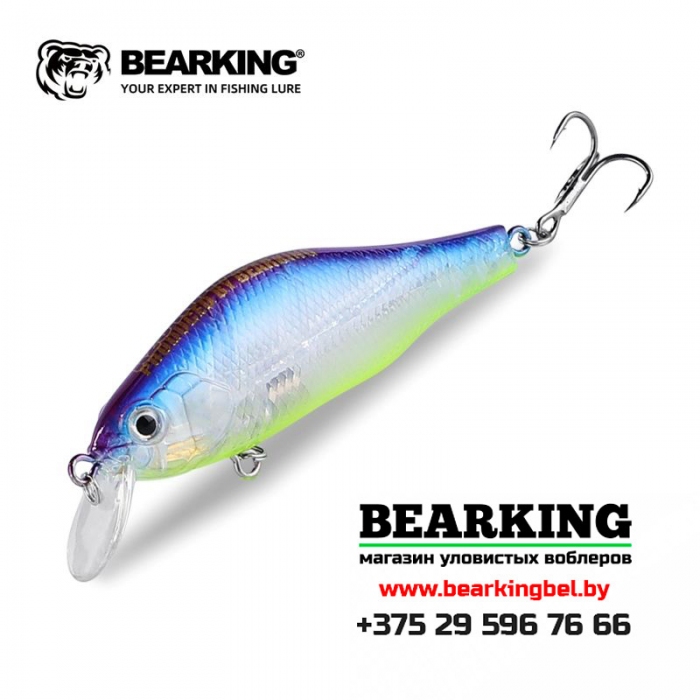 BearKing Khamsin 70 SP-SR - Цвет E