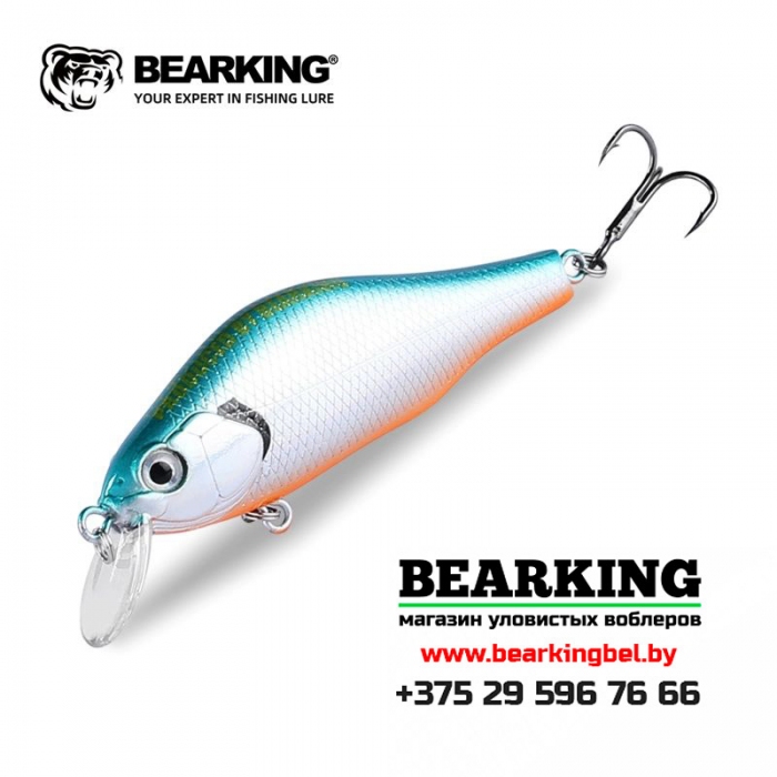 BearKing Khamsin 70 SP-SR - Цвет F