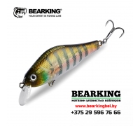 BearKing Khamsin 70 SP-SR - Цвет G